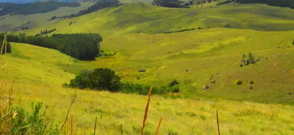 Hotels in Custer County