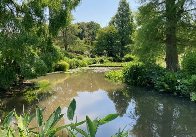 The Beth Chatto Gardens