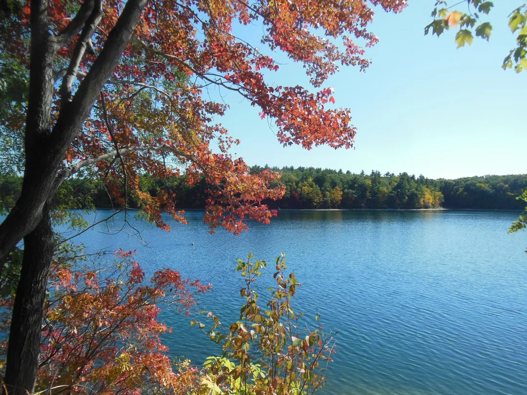 3_Walden Pond State Reservation