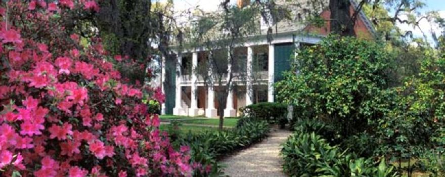 Shadows-on-the-Teche