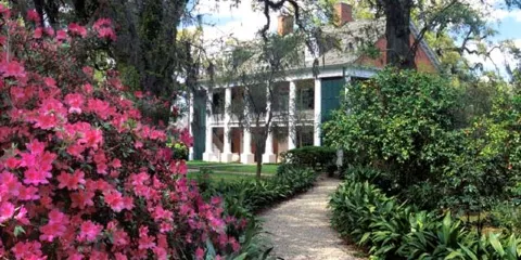 Shadows on the Teche