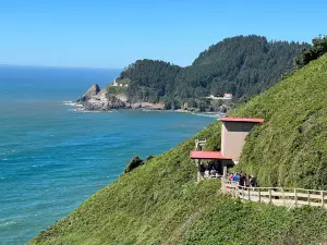 Sea Lion Caves