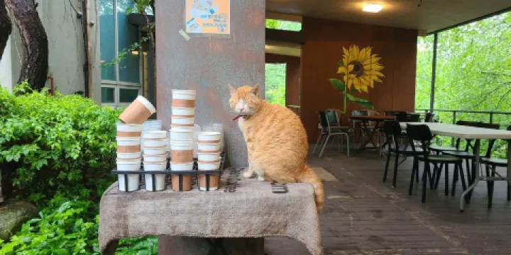 清平自然休養林