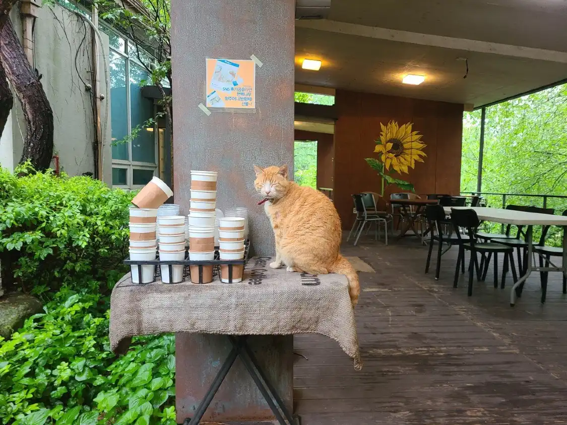 Hotels near Cheongpyeongjayeonhyuyangnim