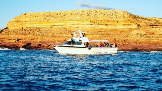 Reefwalker Ocean Discovery