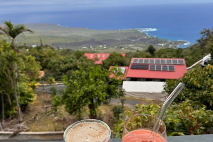 Sacred Grounds Coffee Farm