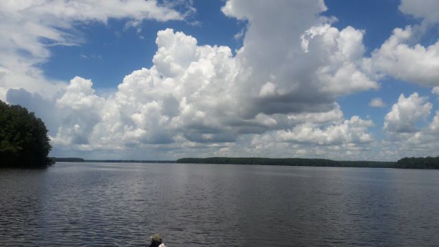 Lake Talquin State Forest