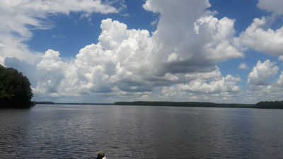 Lake Talquin State Forest