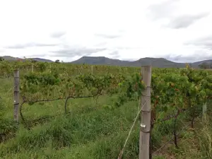 Harrison Hope Wine Estate