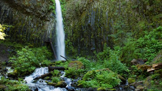 Dry Creek Falls Hike