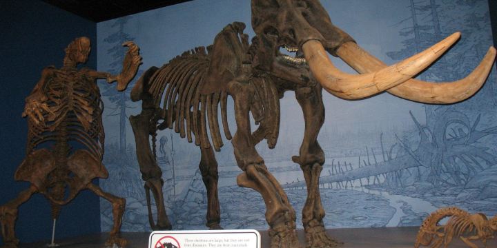 Illinois State Museum