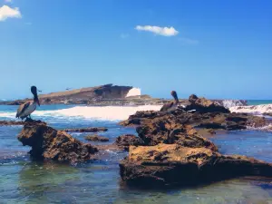 Playa Sardinera