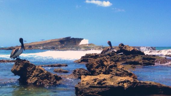 Playa Sardinera