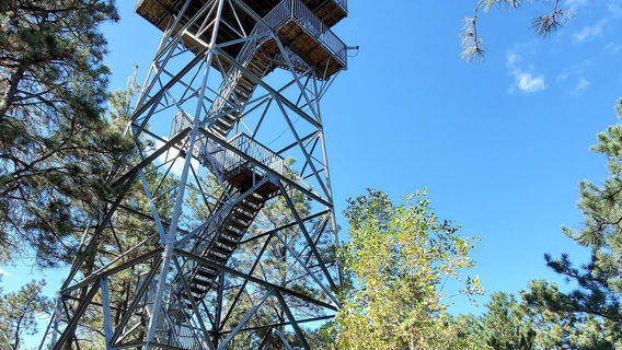Nebraska National Forest, Bessey Ranger District