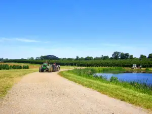 Homestead Farm