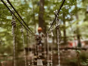 Fun Forest GmbH the adventure park