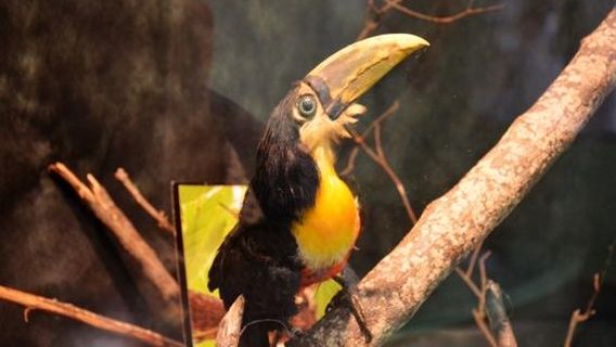 Natural Sciences Museum