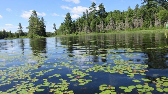 Marten River Provincial Park