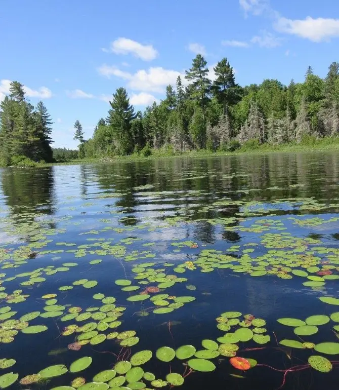 Temagami
