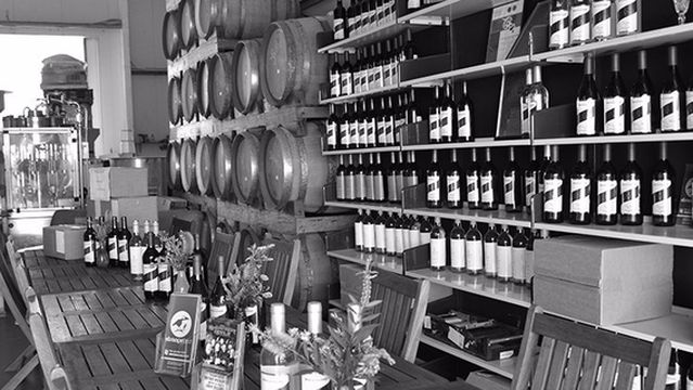 Casley Mount Hutton Winery