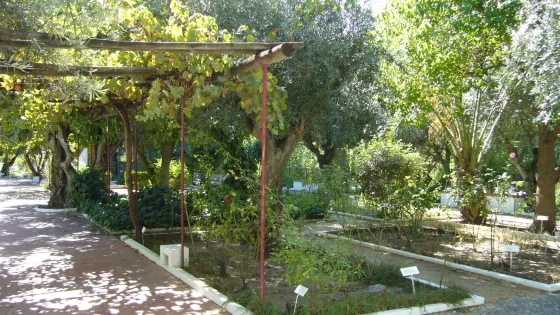 Horto de Camoes Garden