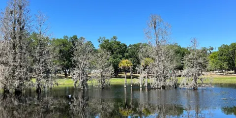 Magnolia Park Campground