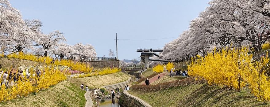 Shibata Senokyo Bridge
