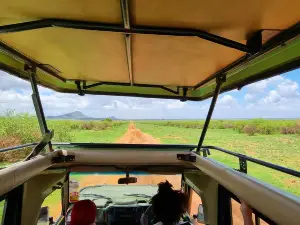 Discovery Kenya Con Fragola