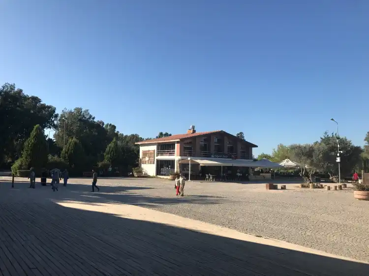 Sasalli Merkez Mahallesi