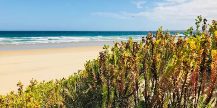 Venus Bay No. 4 Beach