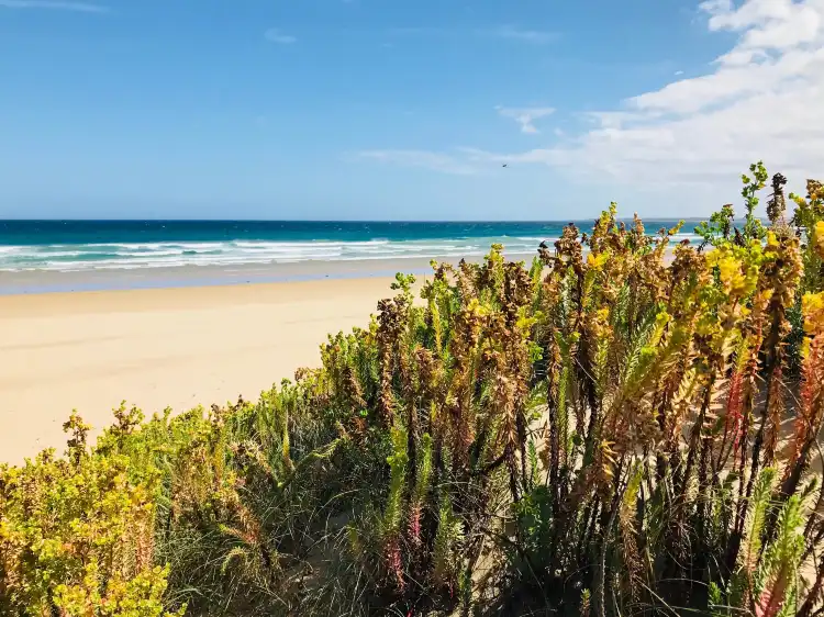 فنادق في Venus Bay