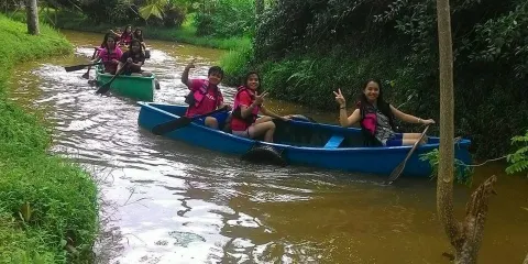 Jungle Water World