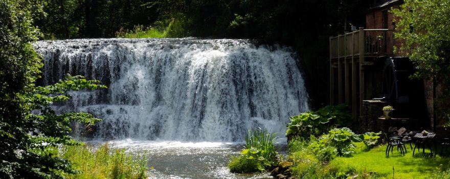 Rutter Force