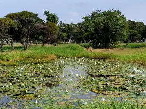 Parque Nacional
