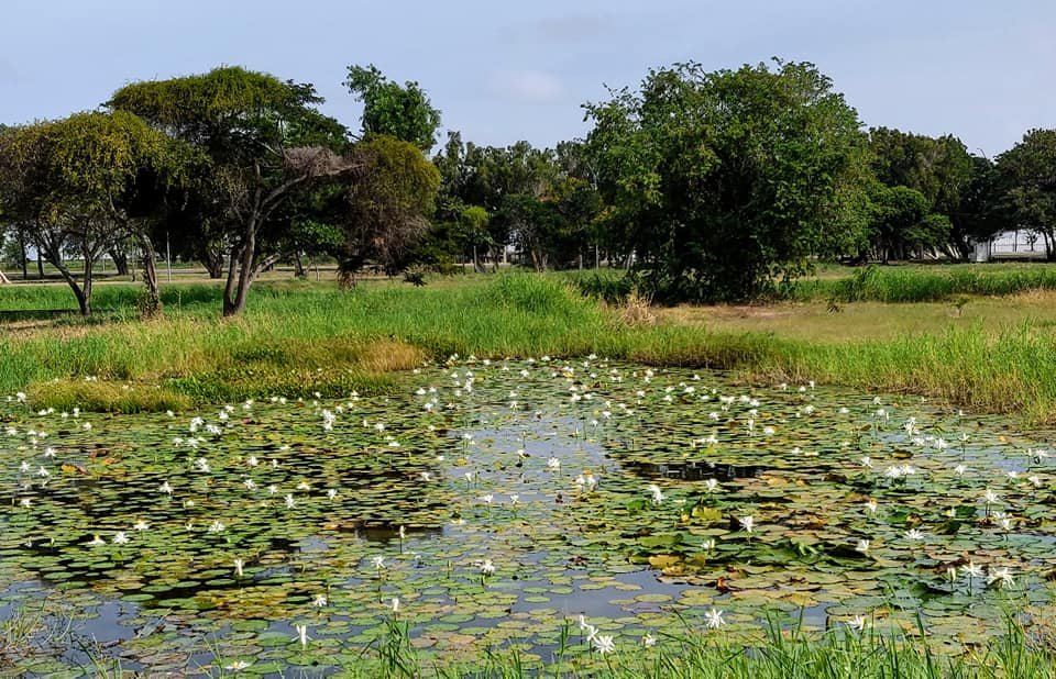 Guyana National Park