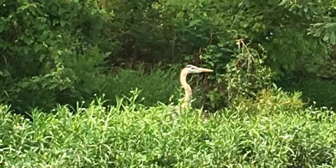 Rockland Recreation Area