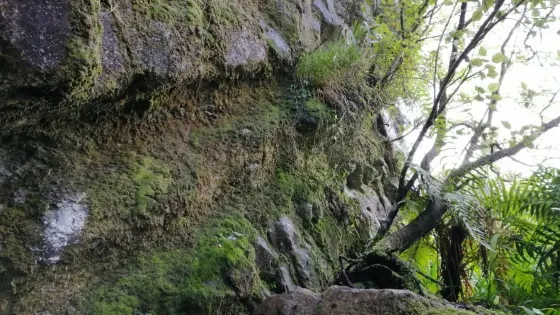 Cobden Cave