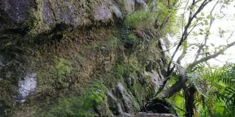 Cobden Cave