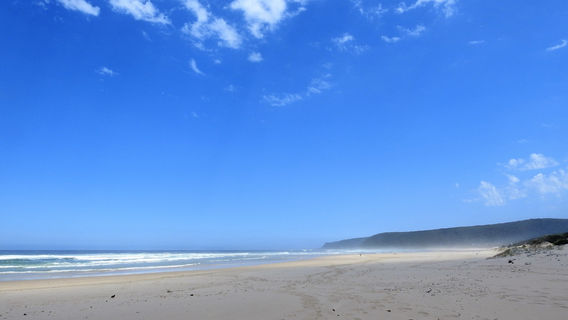 Natures Valley Beach