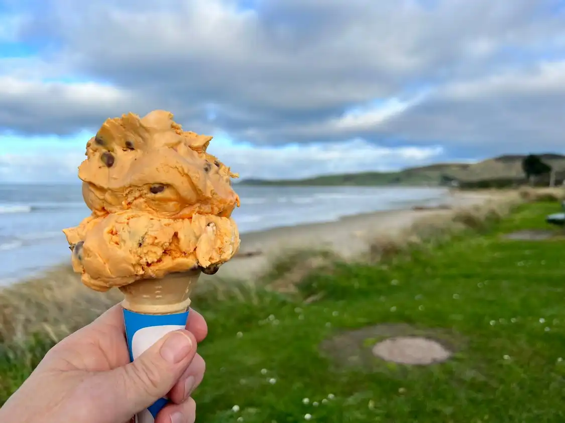 Hotels near Kaka Point Scenic View Point & Picnic Area