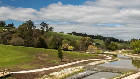 Neerim South Wetlands