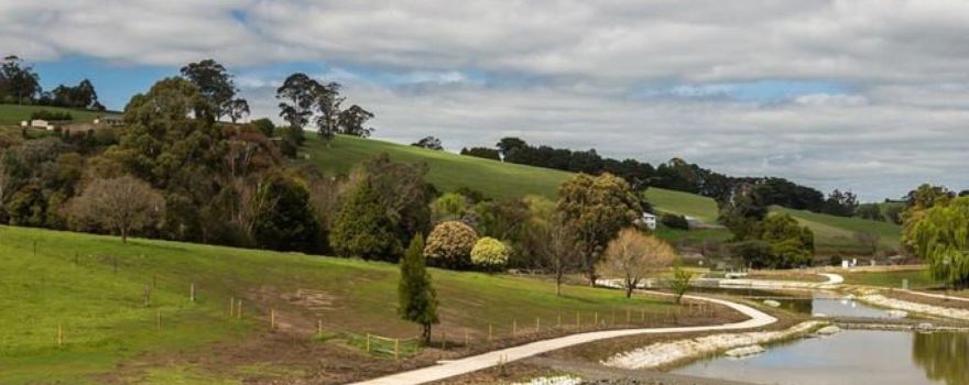 Neerim South Wetland