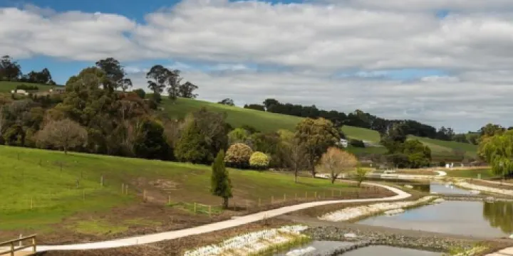 Neerim South Wetlands