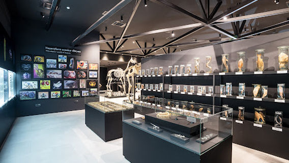 Mud Volcanoes Tourism Complex