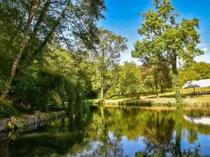 Pisciculture du Moulin de Boissonnie