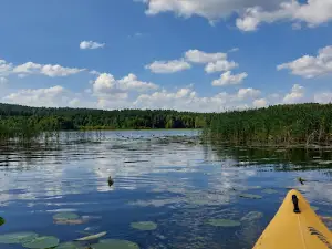 Kurki. Spływy kajakowe. kajakimazurskie.pl