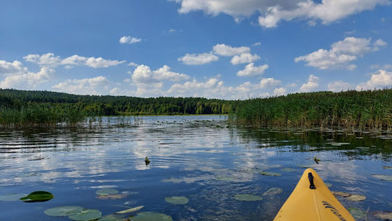 Kurki. Spływy kajakowe. kajakimazurskie.pl
