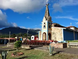 Parco nazionale di El Tamá