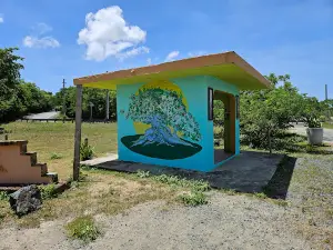 Parque de la Ceiba de Vieques Reserva Natural
