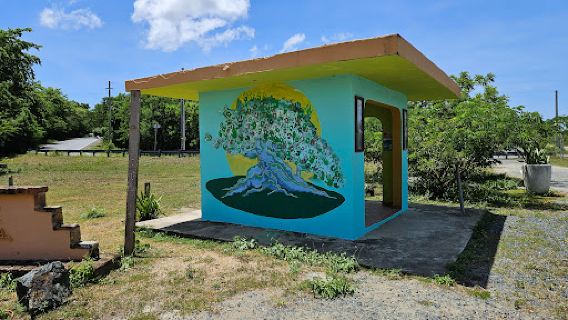 Parque de la Ceiba de Vieques Reserva Natural